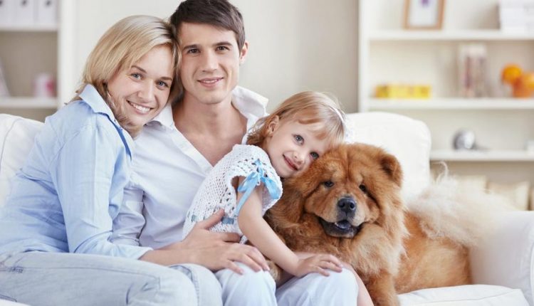 Во Калифорнија при развод домашните миленици ќе се третираат како деца