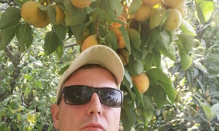 Ристе Тушевски: Благодарение на татко ми, јапонските јаболки ги има низ цела Македонија