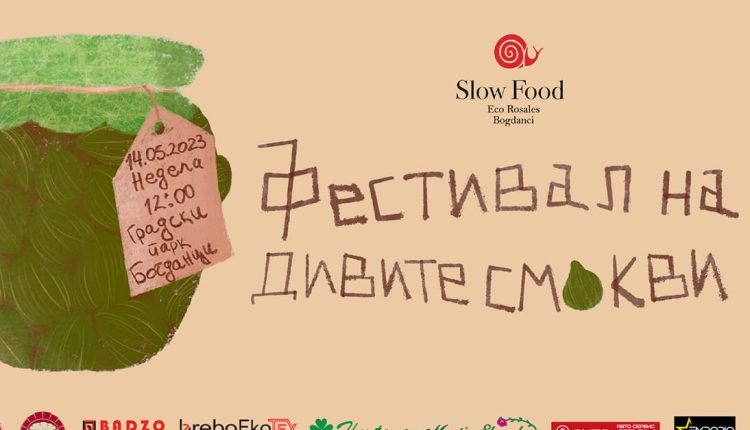 Дојдете на Фестивалот на диви смокви во Богданци. Вкусете го најубавото домашно слатко