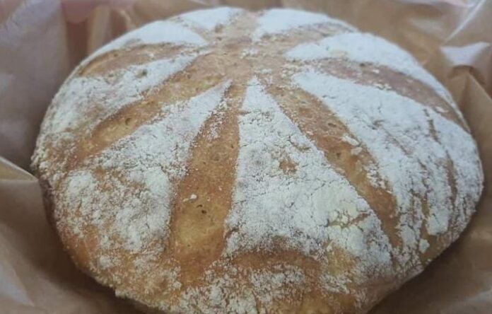 120530350_3504638829556196_5203519509840192526_n-e1601482293608