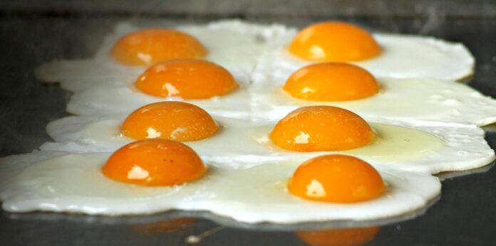 egg-1706421_1280-e1582027009297